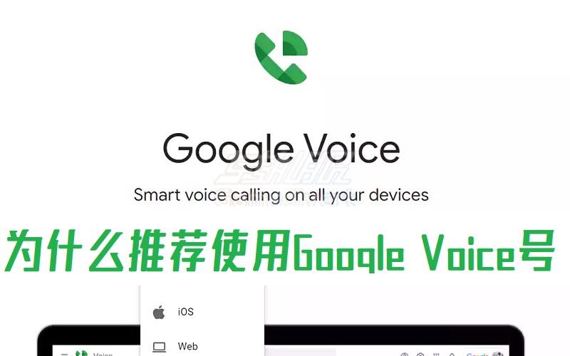 为什么推荐使用Google Voice美国号码？美国GV号码怎么买.jpg