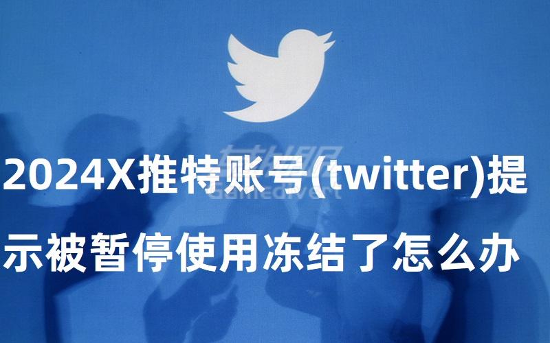 2024X推特账号(twitter)突然提示被暂停使用冻结了怎么申诉最有效？.jpg