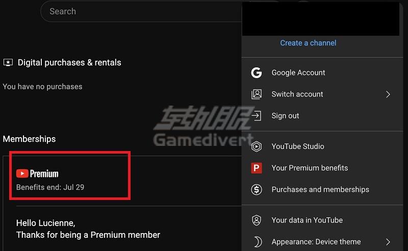 YouTube Premium订阅.jpg