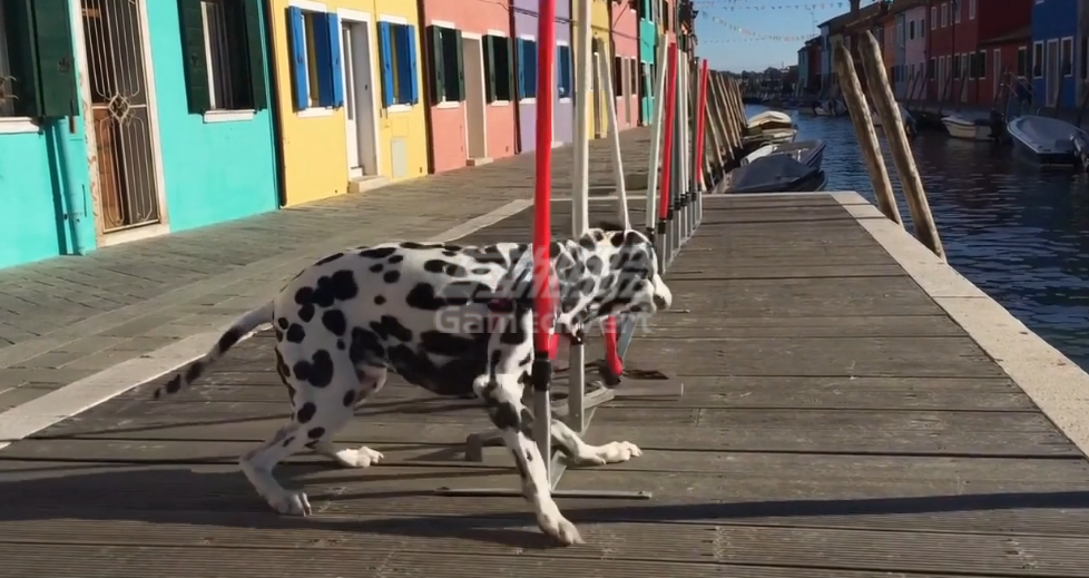 真实重力与物件互动 sora,gpt,Sora 2, OpenAI, AI 视频生成, Cameo 功能, 如何访问Sora 2,物理模拟, 多语言对白生成, One-Prompt 多镜头生成, Sora App, Sora邀请码, Sora 2邀请码分享,Sora 2邀请码如何获取,视频创作, AI 工具