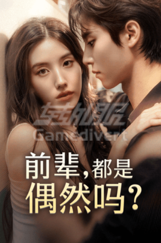 前辈都是偶然吗.png