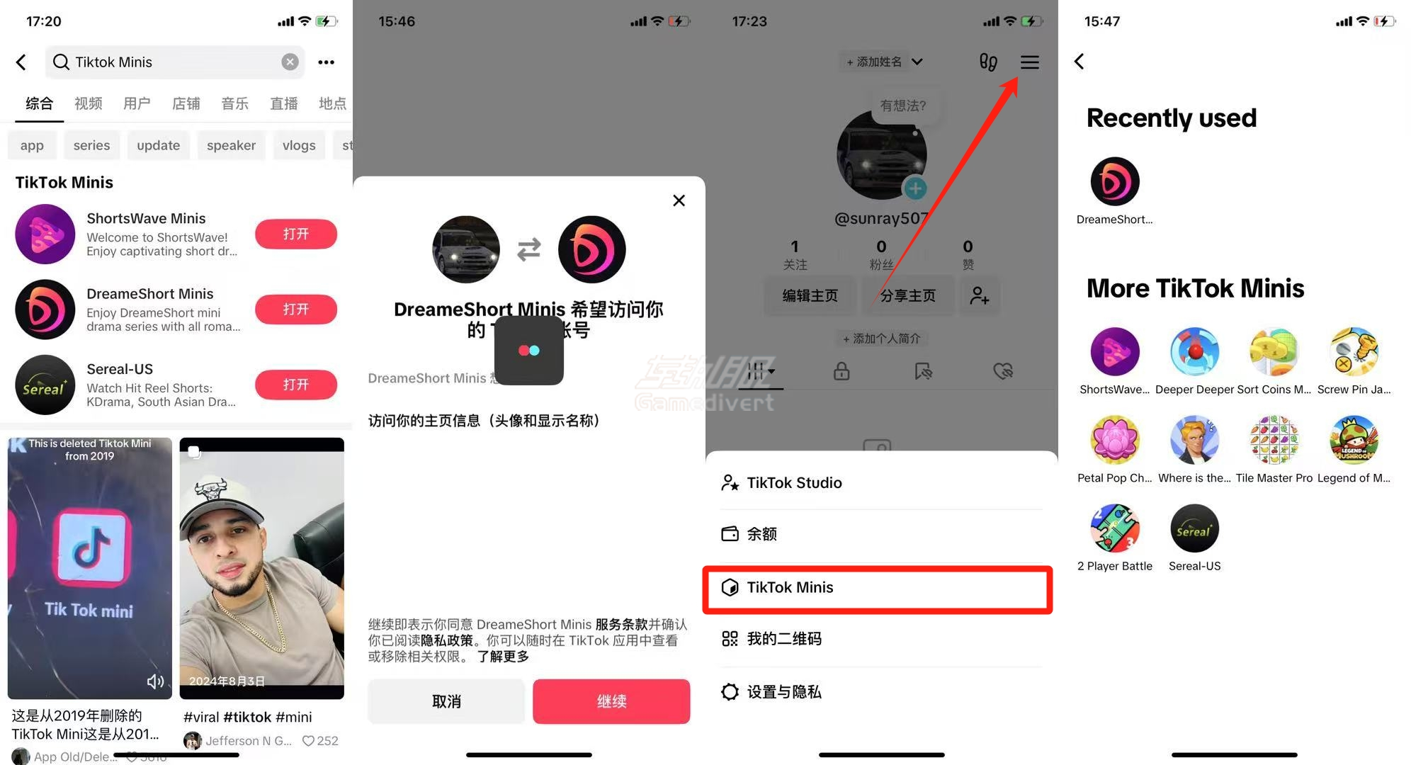 TikTok Minis TikTok Minis.png