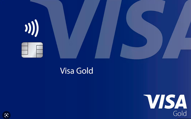 visa.png