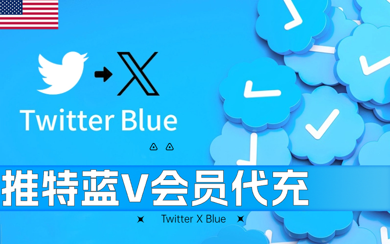 美国Twitter会员充值_Twitter Blue付费订阅充值_推特会员充值平台（美国）