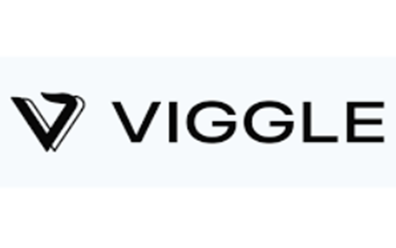 Viggle AI会员代付订阅_Viggle AI Pro会员订阅_Viggle AI账号购买